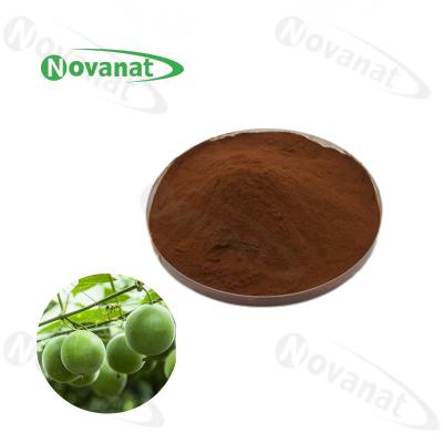 China Extracto de Luo Han Guo 2:1/ Polvo de extracto de fruta de monje Mogrosides/ Edulcorante natural en venta