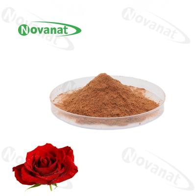 China Antifatigue Rose Flower Extract Powder 4/120% en 25% polyfenolen / voedseldrank Te koop