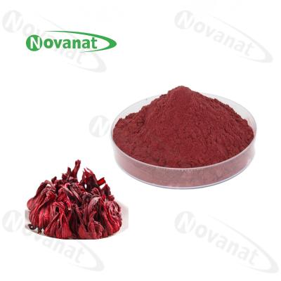 Chine Extrait Rich In Vitamin C/saveur pure/label propre de fleur de Roselle Extract Powder/ketmie à vendre