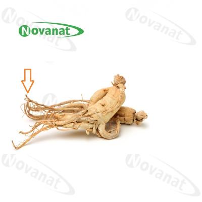 China Ginseng-Wurzelfaser-organische getrocknete Kräuter, die Immunität/Nahrungsmittelergänzung verbessern zu verkaufen