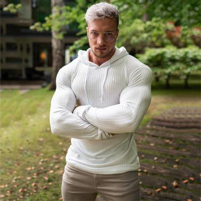 China Breathable Simple Thin Hooded Fashion Knitwear Winter Fit Men's Gym Long Sleeve Hooded Sweater for sale