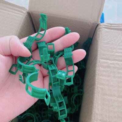 China Easily Clip Plant Clips Garden Clips for Tomato and Other Vines - Trellis Clips - Tomato Plant Support for sale