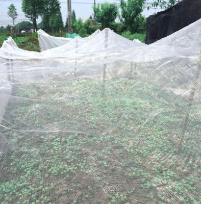 China Modern 4'*100' Insect Netting Insect Bird Netting Garden Netting Protect Plants Fruits Flowers From White Insects Birds And Squirrels for sale