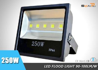 China High Power 250W LED Flood Light Outdoor With 600W HPS/MH Bulbs Equiv for sale