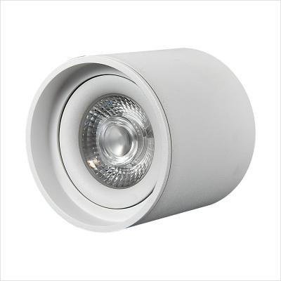 China Modern 5W 10W living room cylindrical surface mounted downlight for hotel office building led downlights for sale