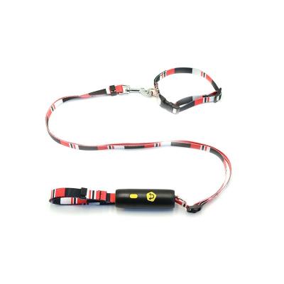 China Quick Release Durable And Sturdy Alloy Buckles Fashionable Color Matching Retractable Pulling Dog Leash for sale