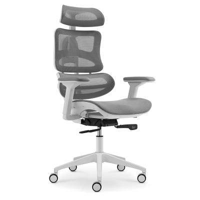 China 2021 Korea Mesh RAINBOW New Product Luxury Ergonomic Office Gas Lift Chair for sale