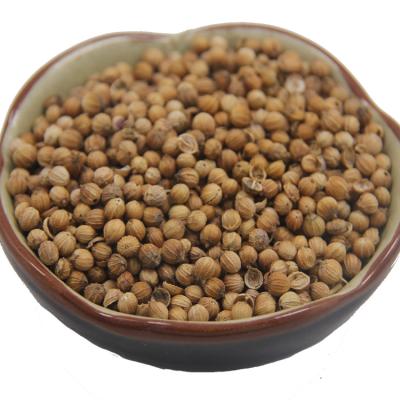 China High purity natural coriander powder quality coriander seeds coriander wholesale for sale