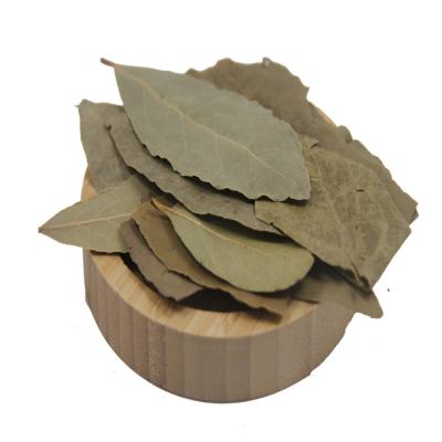 China Natural High Quality Bay Leaf Dried Best Pelargonium Myrcia for sale