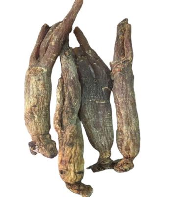 China Dried Red Ginseng Korean Ginseng Root With Best Price for sale