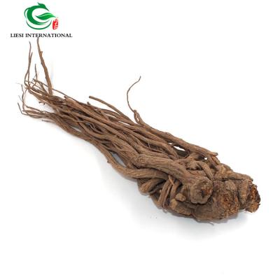 China Dried Angelica Root Herb Angelica Archangelica Root for sale