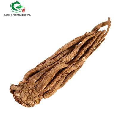 China Dried Raw Material Angelica Blow Dock Chinese Herbal Angelica for sale