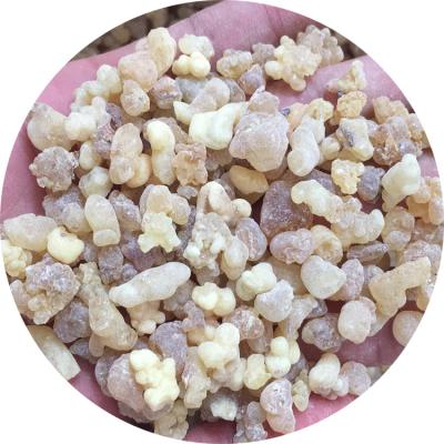 China Hot sale dry premium frankincense boswellia sacra&serrata extract /ruxiang for sale for sale