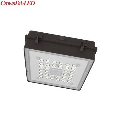 China Fixed Gas Station To Surface Mount 80w 80w 100w 120w ETL DLC Led Canopy Lighting For Entrances for sale