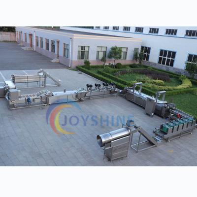 China Vegetable Processing Plant Automatic Small Scale Potato Frozen French Fries Production Line for sale