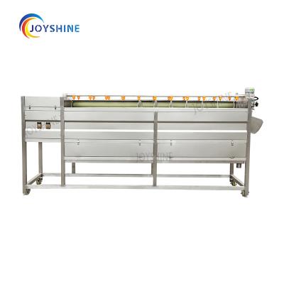 China Snack Factory Joyshine Potato Peeling Machine Potato Washing Machine Industrial Potato Washing and Sorting Machine for sale