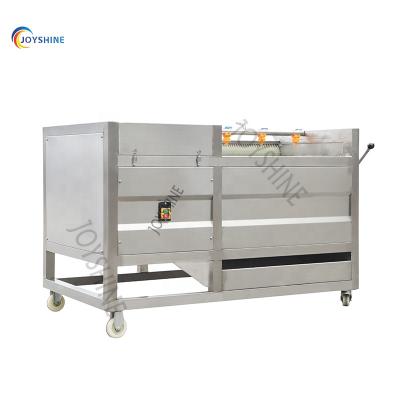 China Custom snack factory Joyshine peanut washing machine brush roller fruit and vegetable washing machine for sale for sale