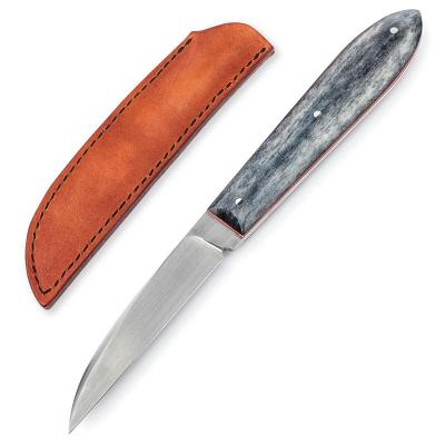 China Slide Open 3 In Full Tang Outdoor Fixed Blade M390 Steel Camping Hunting Combat Survival Fruit Peeling Knife With Bone Handle for sale