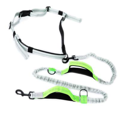 China Heavy Duty Adjustable Quick Release Pet Puppy Safety Harness Dog Leashes For Dog Stay for sale