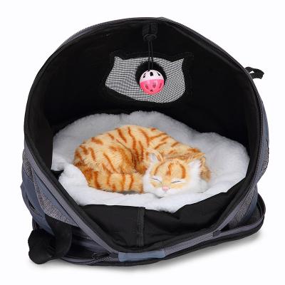 China Breathable Puppy Kitten Traveling Crate Cat Carrier Dog Travel Cage Pet Carrier Box for sale