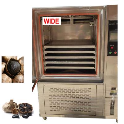 China Automatic commercial use industrial production ace fermented black garlic fermentation machine for black garlic forming lower price for sale for sale