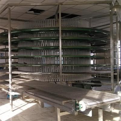 China Yien Manufacturer Customized Heat Resistant Spiral Mesh Chain Conveyor Tower Stainless Steel Hardware Workshop Conveying Equipment for sale