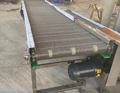 China Stainless Steel Mesh Belt Conveyor Heat Resistant Material Conveying Equipment Yien Manufacturer Customized Workshop Conveying Equipment for sale