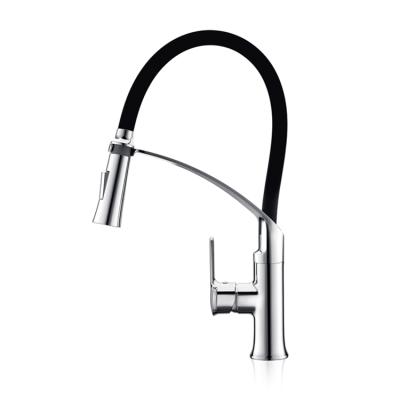 China Chrome Silicone Bar Double Outlet Modern Mixed Steam Spray Modern Mixed Steam Single Outlet Tube Silica Gel Faucet Tube Faucet Black Single Handle for sale