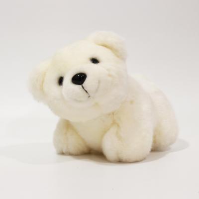 China Cute Toy White Bear Stuffed Animal Plush Toy Stuffed Animal Doll for sale