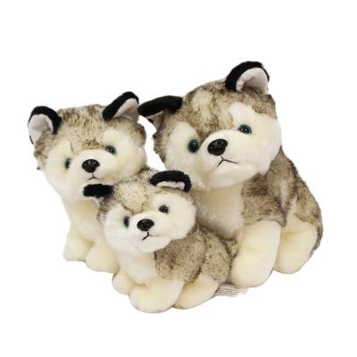 China Plush Toy Soft Cute Husky Plush Doll Gift Doll Gift Most Popular Doll for sale