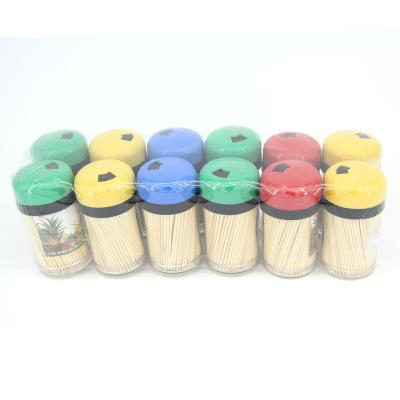 China 1.6 1.8mm 2.0m 65mm 12bottles disposable plastic bottle in china wholesale machine made bamboo toothpicks wooden toothpicks shrink packed for sale