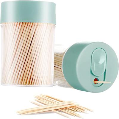 China China Factory Disposable Wooden Toothpick Automatic Plastic Bottle Packed Dental Toothpick Bamboo for sale