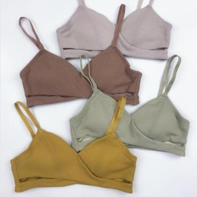 China Dropshipping Women's Underwear Solid Color Competitive Price High Quality Antibacterial Women's Bra for sale