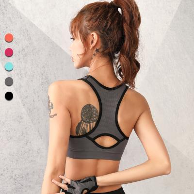 China Top High Quality Seamless Sports Bra Women Sports Bra Women Yoga Breathable Custom Sports Bra For Women for sale