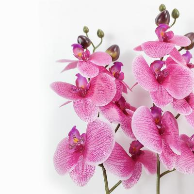 China New Arrival 15 Lead White Pink Flowers 15 PVC 55% Wire/Plastic 35%/Iron Wedding Favors Phalaenopsis Artificial Flowers Real Touch Orchid Latex for sale