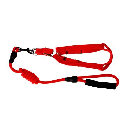 China Elasticity Round Rope Padded Leash Tie Hands Dog Bungee Adjustable Shockproof Walking Free Leash for sale