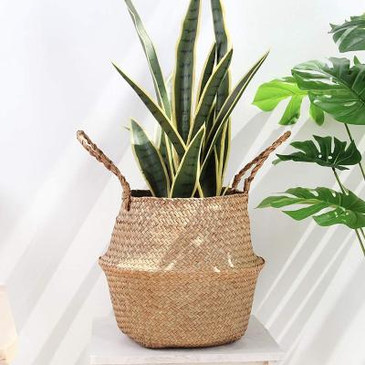 China 100% Eco-Friendly Natural Pot Woven Baskets Plant Vegetable Plankton - Indoor Belly Basket Wicker Planter with Long Handles for sale