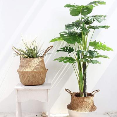 China 100% Eco-Friendly Natural Craft Plant Plankton Belly Baskets For Storage, Laundry, Picnic & Straw Beach Bag Woven - Plant Pots Cover Indoor Decorative for sale