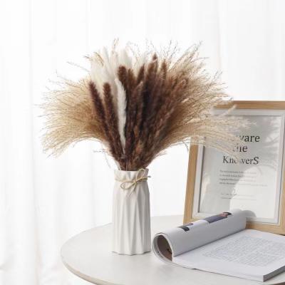 China Real Dried Natural Dried Flower Plants 60 Pcs Pampas Grass Set Reed Grass For Flower Arrangements Home Decor, Boho Decor And Wedding Flower Arrangements for sale