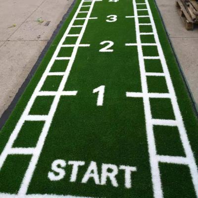 China 25mm Waterproof Wear Resistant Anti-slip GYM Turf Artificial Synthetic Grass Mat With White Line And Numbers for sale