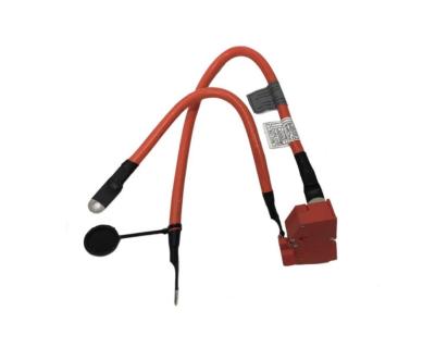 China Auto Battery Cable Positive Terminal To Floor Under Cable 61129322056 For BMW X5 F15 Standard Size for sale