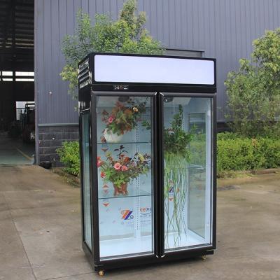 China Single-temperature door-to-door glass door direct cooling used fresh flower cooler flower refrigerator Te koop