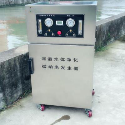 China Hot Sale Hotels Nano Micro Ozone Bubble Generator For River Water Purify Factory Price for sale