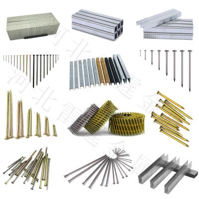 China Cap Factory Direct Sale Pallet Nail Gun Nail Coil Galvanized Concrete Steel Nails for sale