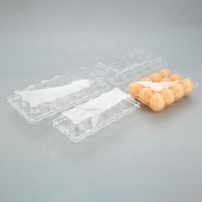 China Eco-friendly Storage Chicken Box Tray Eggs For Disposable Plastic Transparent Egg Packaging for sale