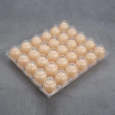 China Factory direct sale eco-friendly special promotion large size transparent plastic 30 hole egg tray for sale