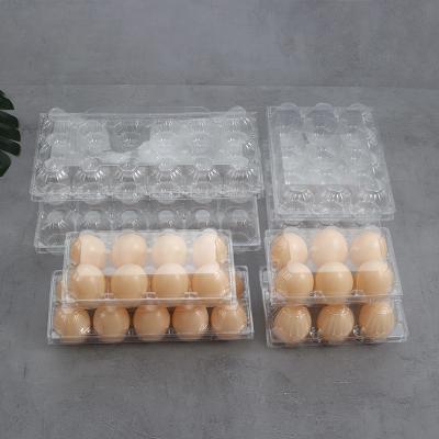 China New Arrival Eco-friendly Wholesale Recyclable Optional Square Pet Multi-size Low Price Plastic Egg Tray for sale