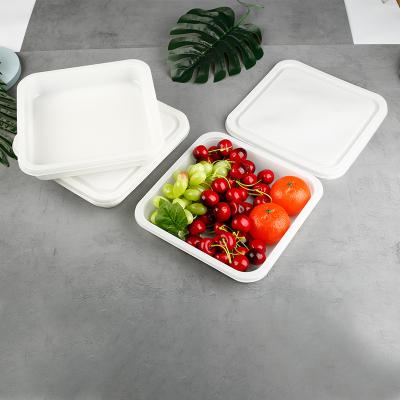 China Food Grade Disposable Wholesale Fruit Vegetable Plastic Container Meat Plastic Packaging Frozen Trays for sale