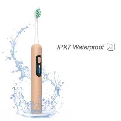 China PP Custom Logo Sonic Whitening Brush Rechargeable Automatic Electric Toothbrush for sale