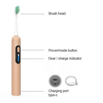 China Custom PP Fashion Rechargeable Automatic 5 Smart Logo Brush Sonic Whitening Electric Toothbrush for sale